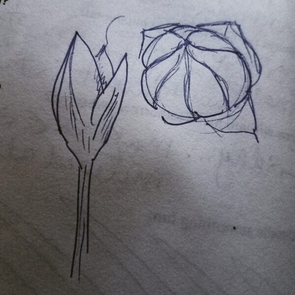 Flax Flower - 18" x 24" - Image 6