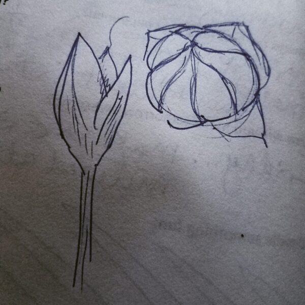 Flax Flower - 18" x 24" - Image 6
